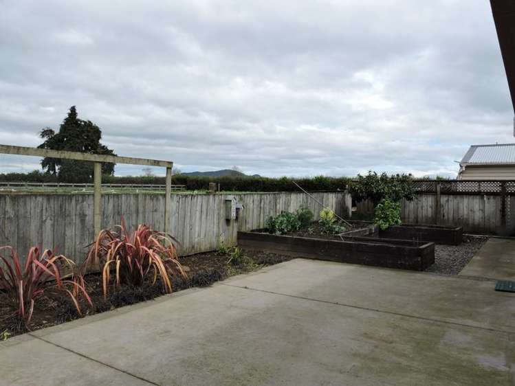 24 Jellicoe Road Matamata_2