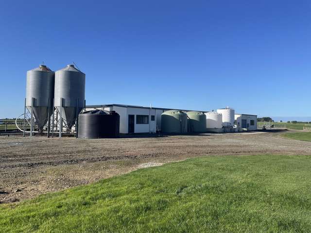 44 Eastbourne Park Road Flints Bush_4