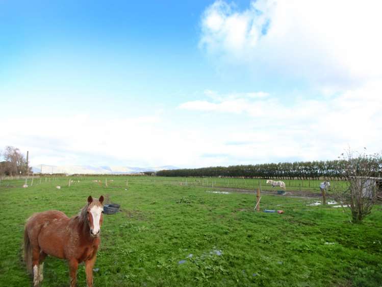 2110 State Highway 56 Longburn_20