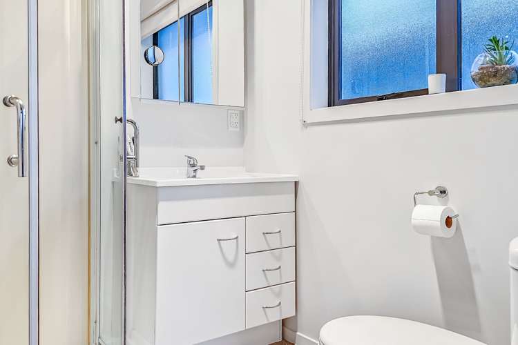 88 Tihi Road Springfield_11