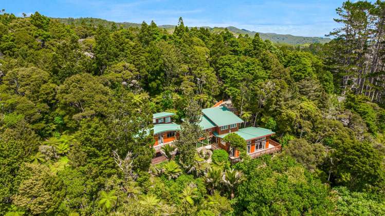 19 Te Aute Ridge Road Waitakere_1