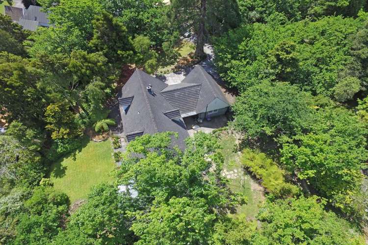 1266 Fergusson Drive Brown Owl_31