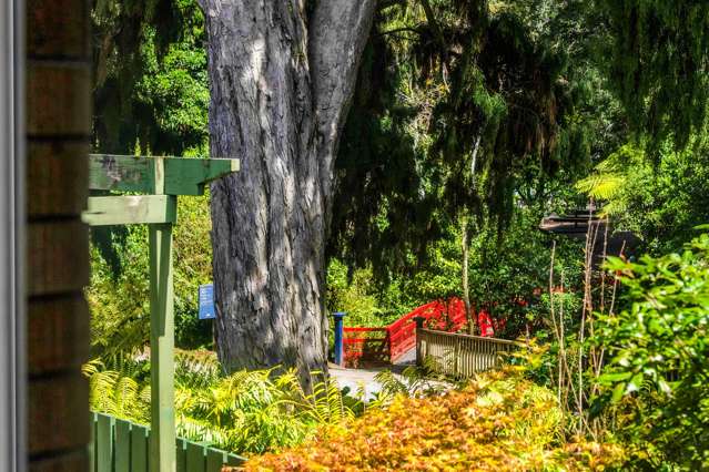 1/4 Gilbert Street New Plymouth_3