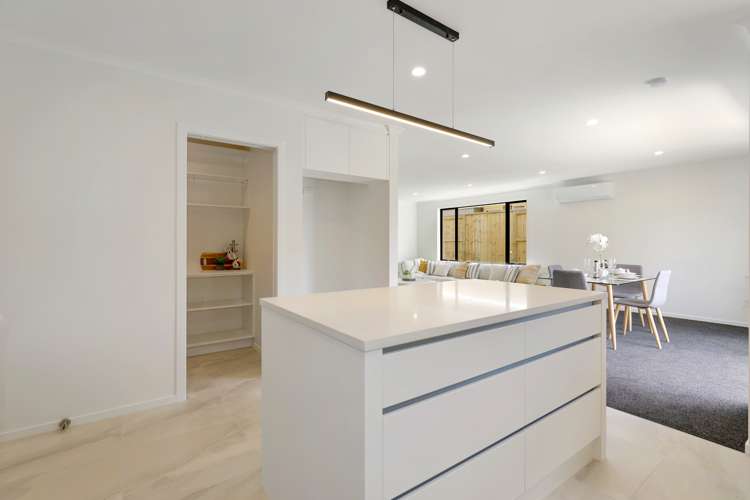 19 Lloyd Crescent Pukehangi_7