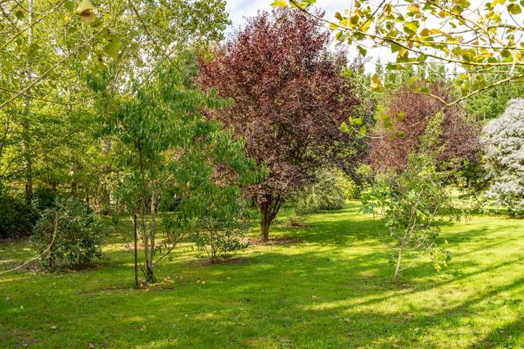 78 Te Ore Ore Bideford Road Masterton_28