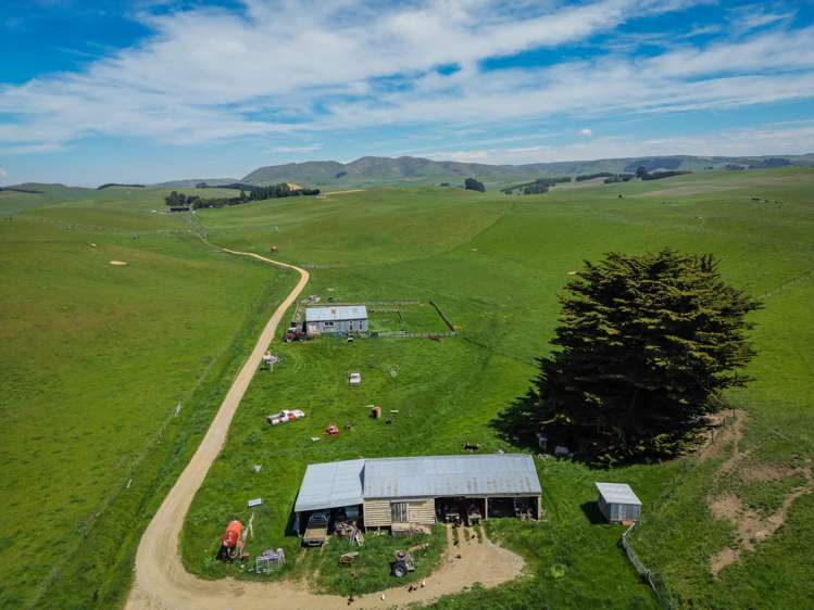 447 Serpentine Valley Road Waimate_5