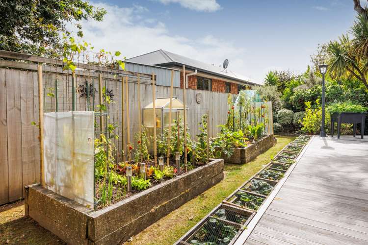 3 Morgan Mews Feilding_18