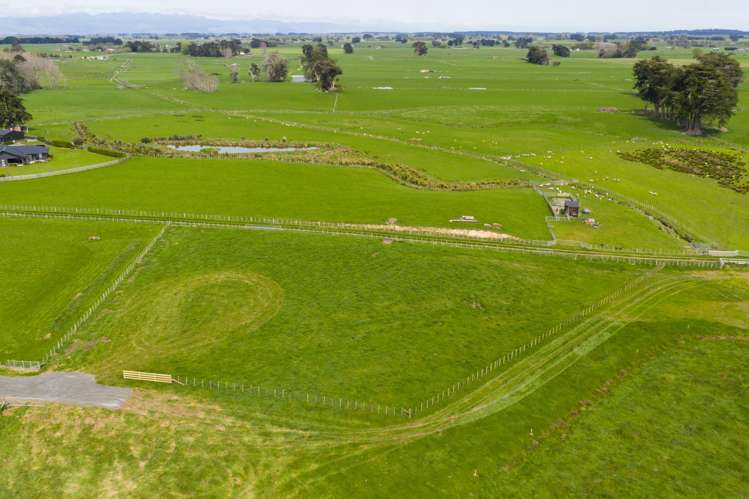 Sterling Lane Rongotea_5