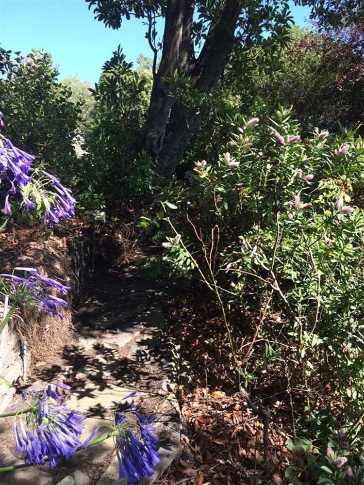 33c Hackthorne Road Cashmere_13