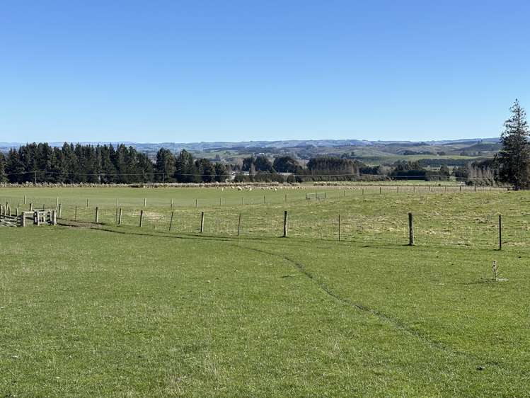 Waihola Highway Waihola_6