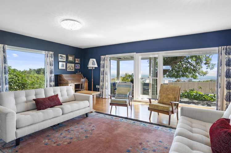 211 Major Hornbrook Road Mount Pleasant_3