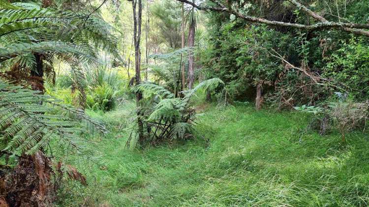 294 Foster Road Waimauku_11