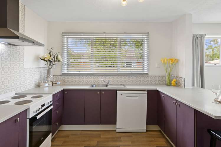 55 Ivory Street Rangiora_5