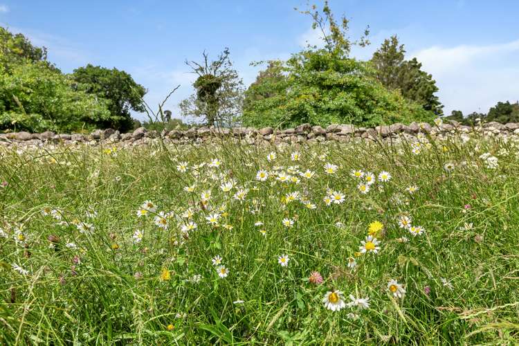 527 Whatitiri Road Poroti_8