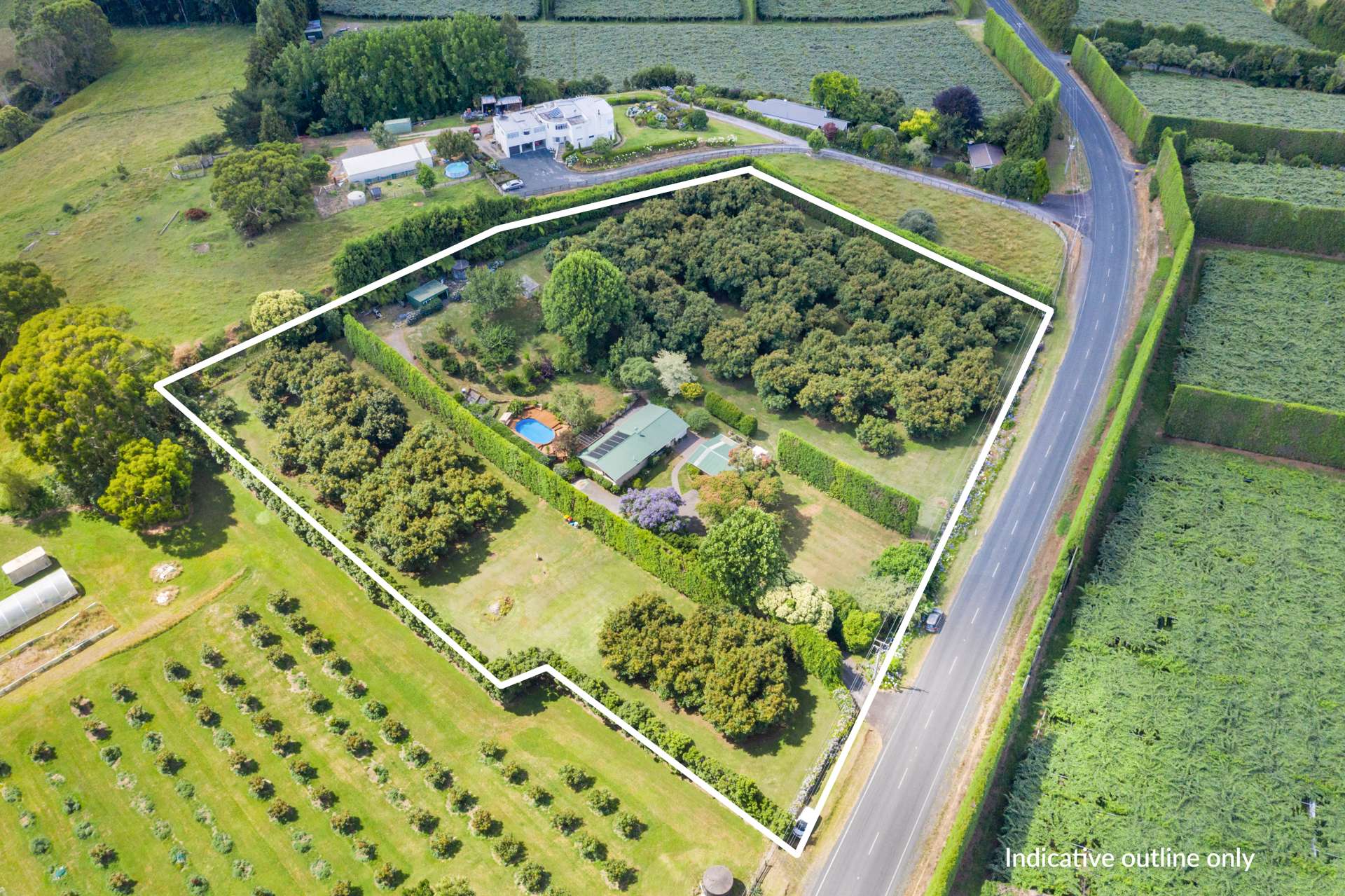 350 Esdaile Road Whakamarama_0