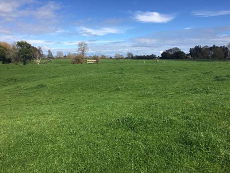 102 Platt Road Tauwhare_1