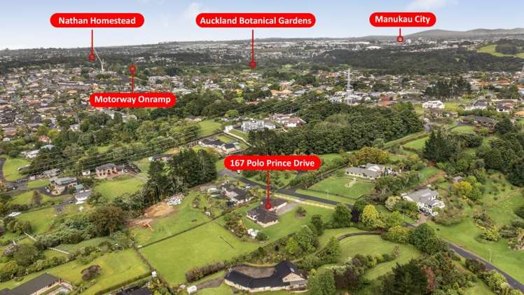 167 Polo Prince Drive Alfriston_27