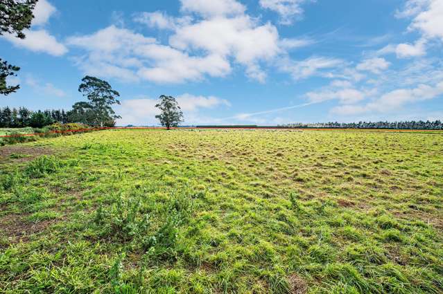 Essendon Road Darfield_2