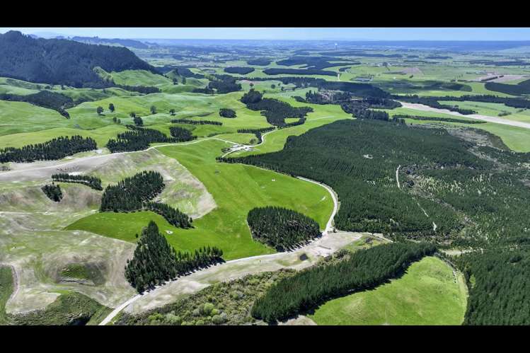 Korako Road Taupo_13