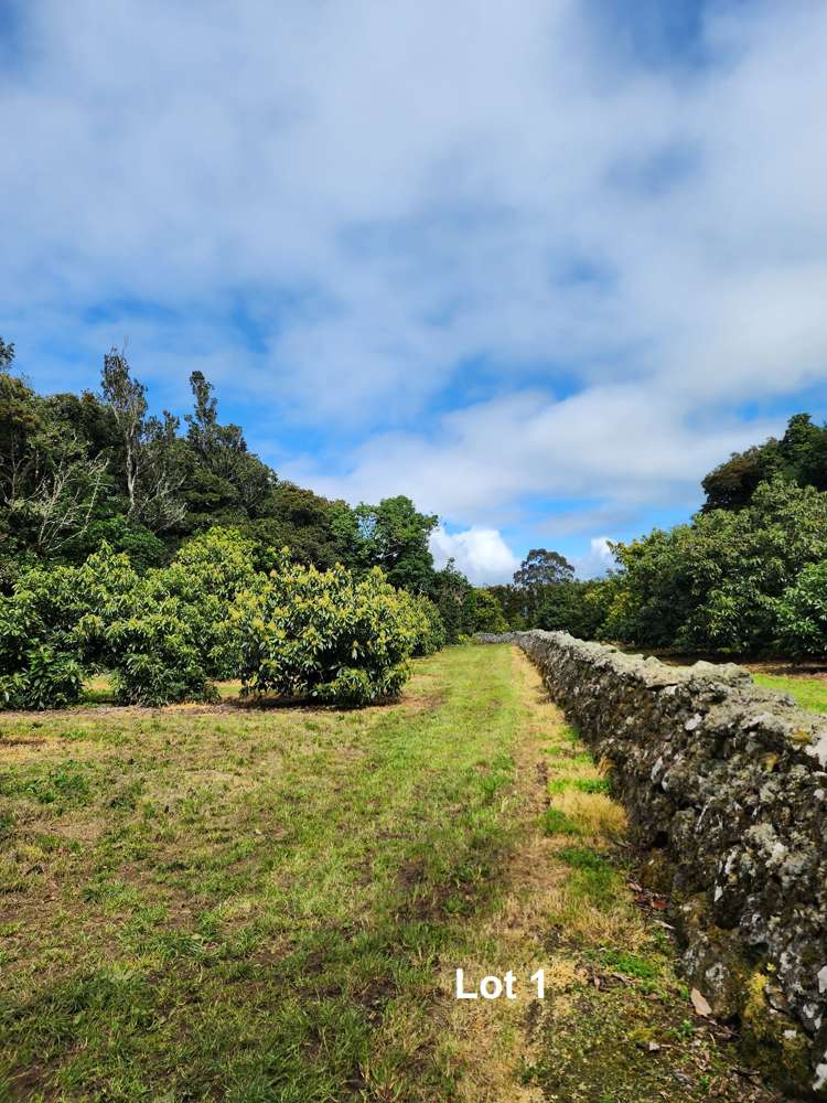 493 Mangakahia Road Maungatapere_8