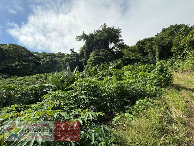 Address withheld Savusavu_14