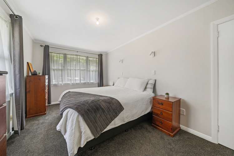 96 Miramar North Road Miramar_7