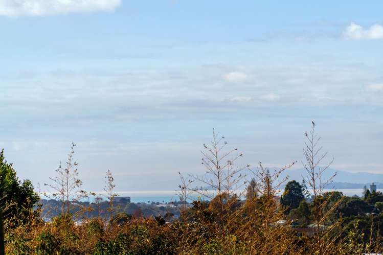 295 Glenfield Road Glenfield_13