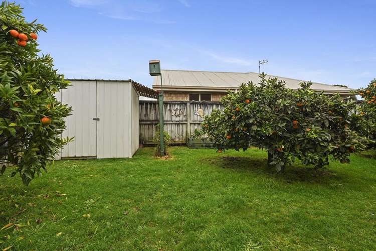 29 Sayer Street Frankton_17