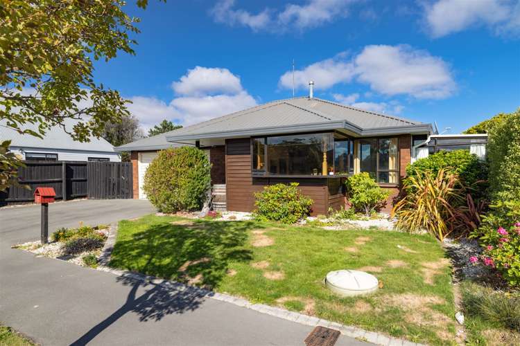 49 Briarmont Street Avondale_16