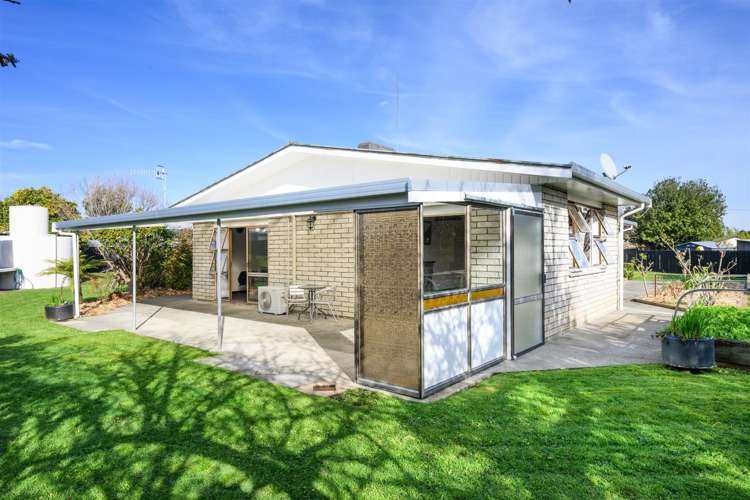 6 Flower Street Bulls_23