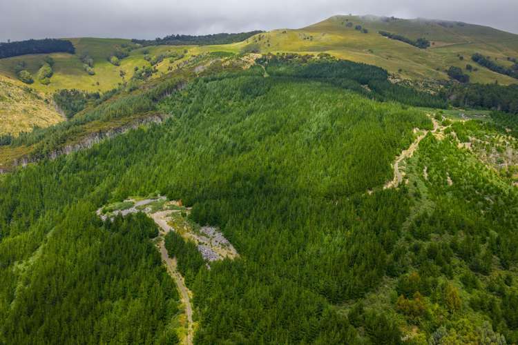 226 Middle Road Pigeon Bay_7