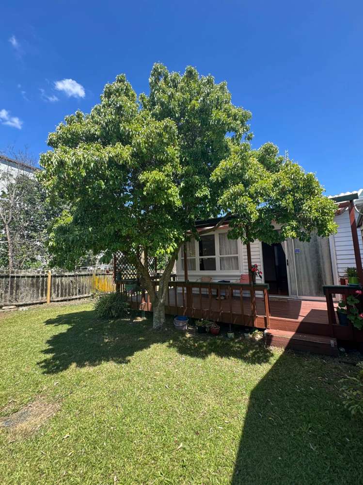 154B Rockfield Road Penrose_14