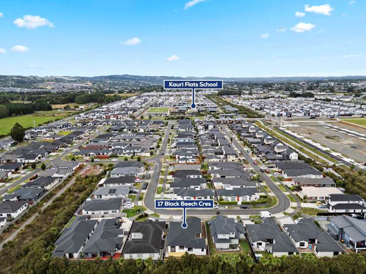 17 Black Beech Crescent Takanini_23