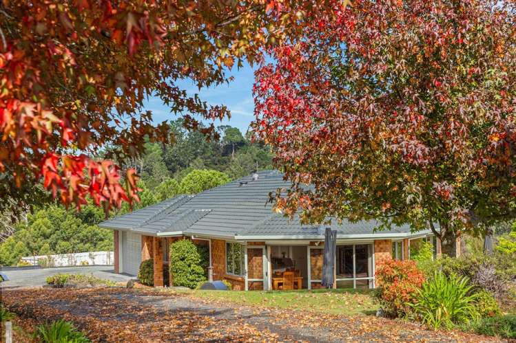 1152A East Coast Road Redvale_5