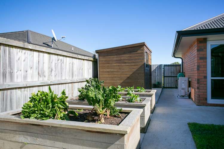 16 Tiaki Way Cambridge_18