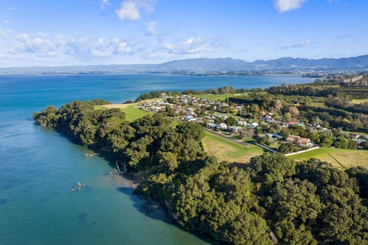 33 Princes Street Katikati_21