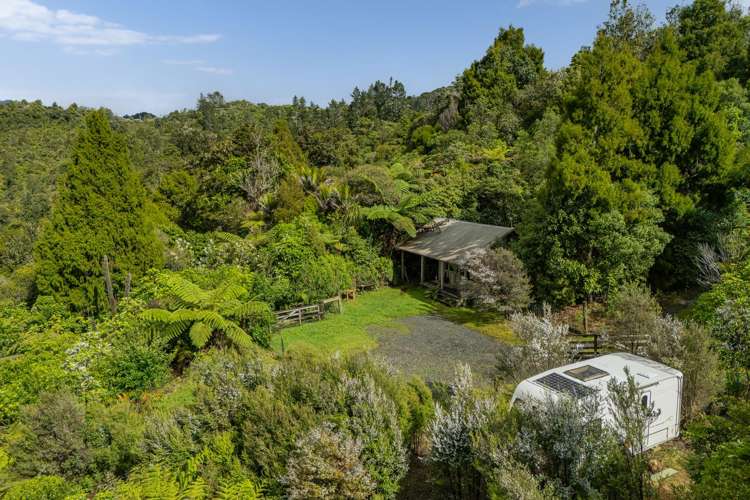 974 The 309 Rd Whitianga_0