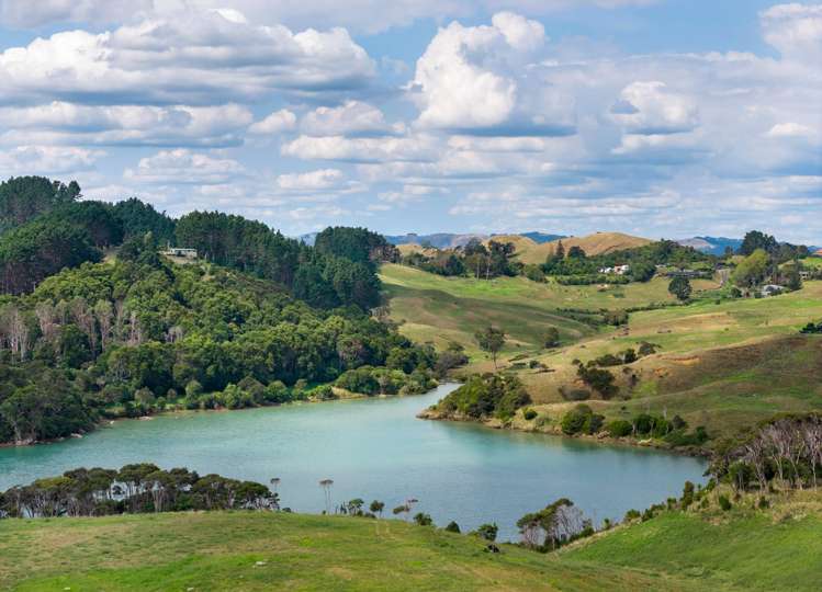 9 Toka Tuu Street Raglan_9