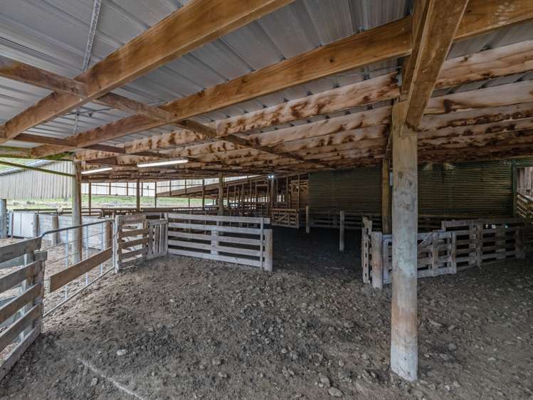 1068 Hinemoa Valley Road Pahiatua_25