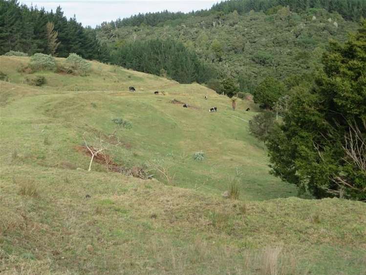 565 Bickerstaffe Road Maungaturoto_10