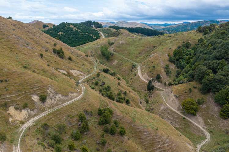 310 Branscombe Road Akitio_16