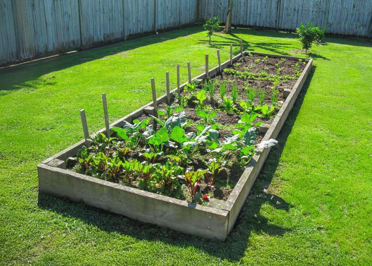 6 Magnolia Drive Matamata_18