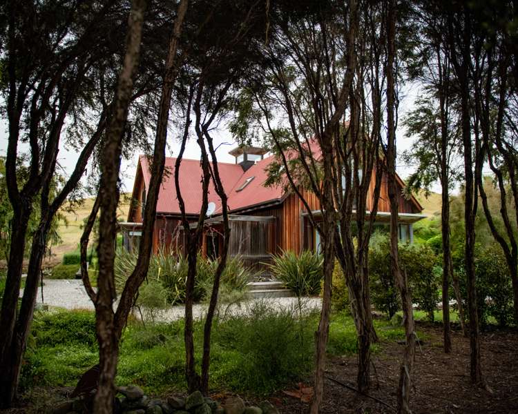 239 Redwood Street Witherlea_8