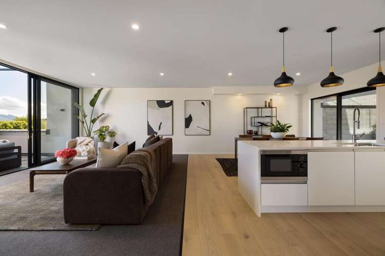 1/14 Vancouver Drive Queenstown Hill_3