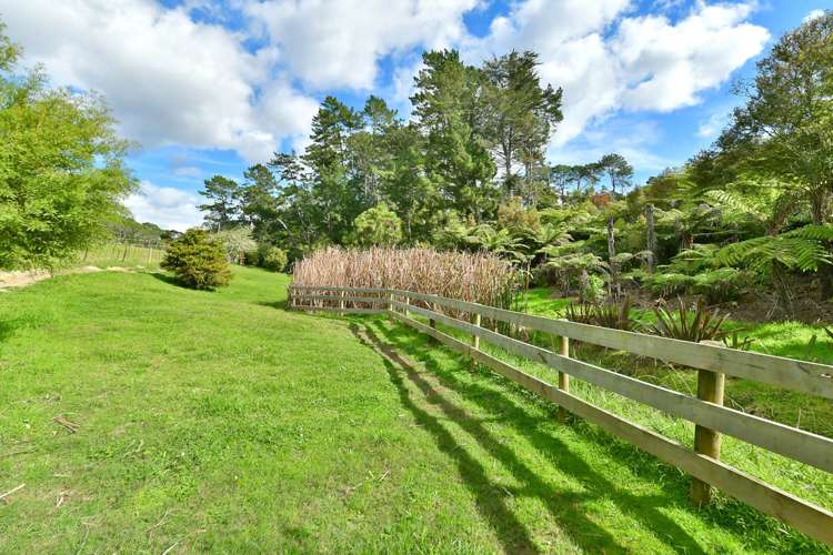 11 Drury Lane Dairy Flat_19