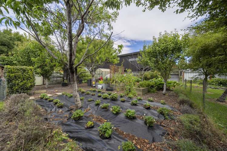 49 Bligh Street Te Anau_11