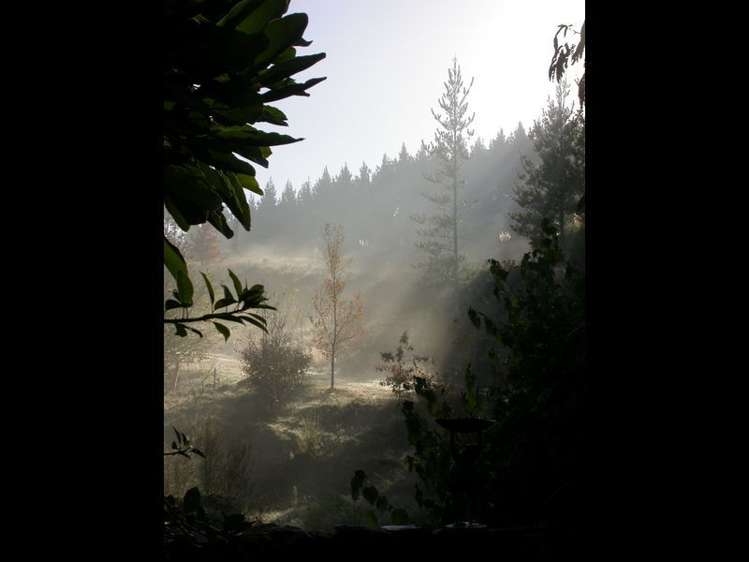 207 Scotsman Valley Road Tauwhare_11