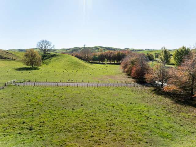 Lot 1, 741 Puketapu Road Puketapu_3