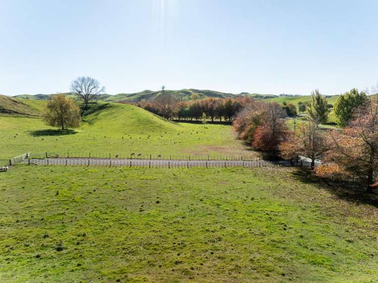Lot 1, 741 Puketapu Road_3