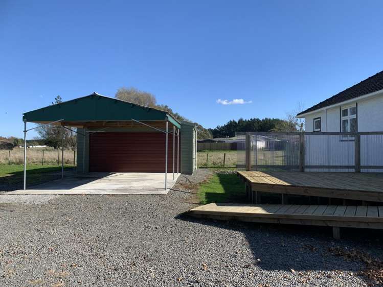 25 Flower Street Bulls_13